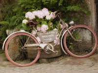 FahrradB  Altes Rad in der Bretagne