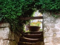 TreppeRomy  "Steintreppe in der Bretagne"